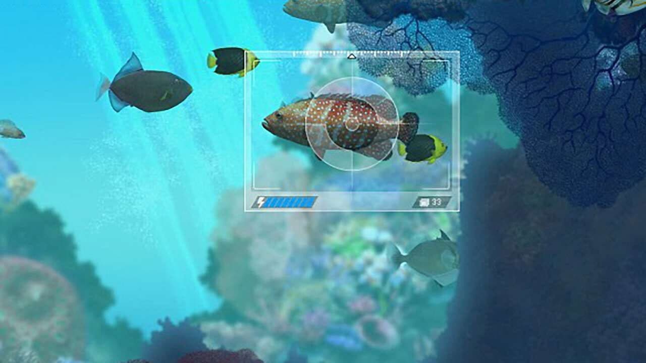 Caribbean Sea Fishes thumbnail 2