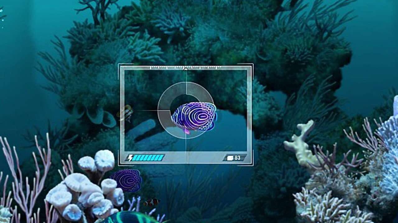 Caribbean Sea Fishes thumbnail 3