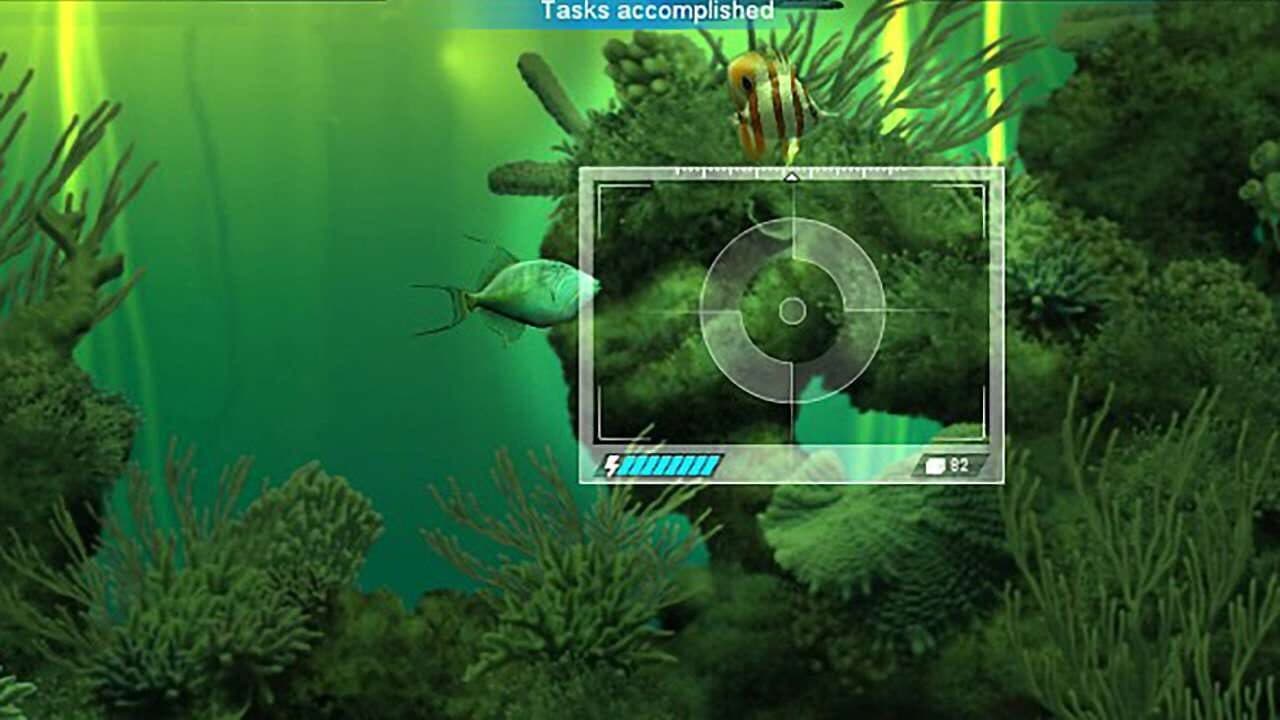 Caribbean Sea Fishes thumbnail 4