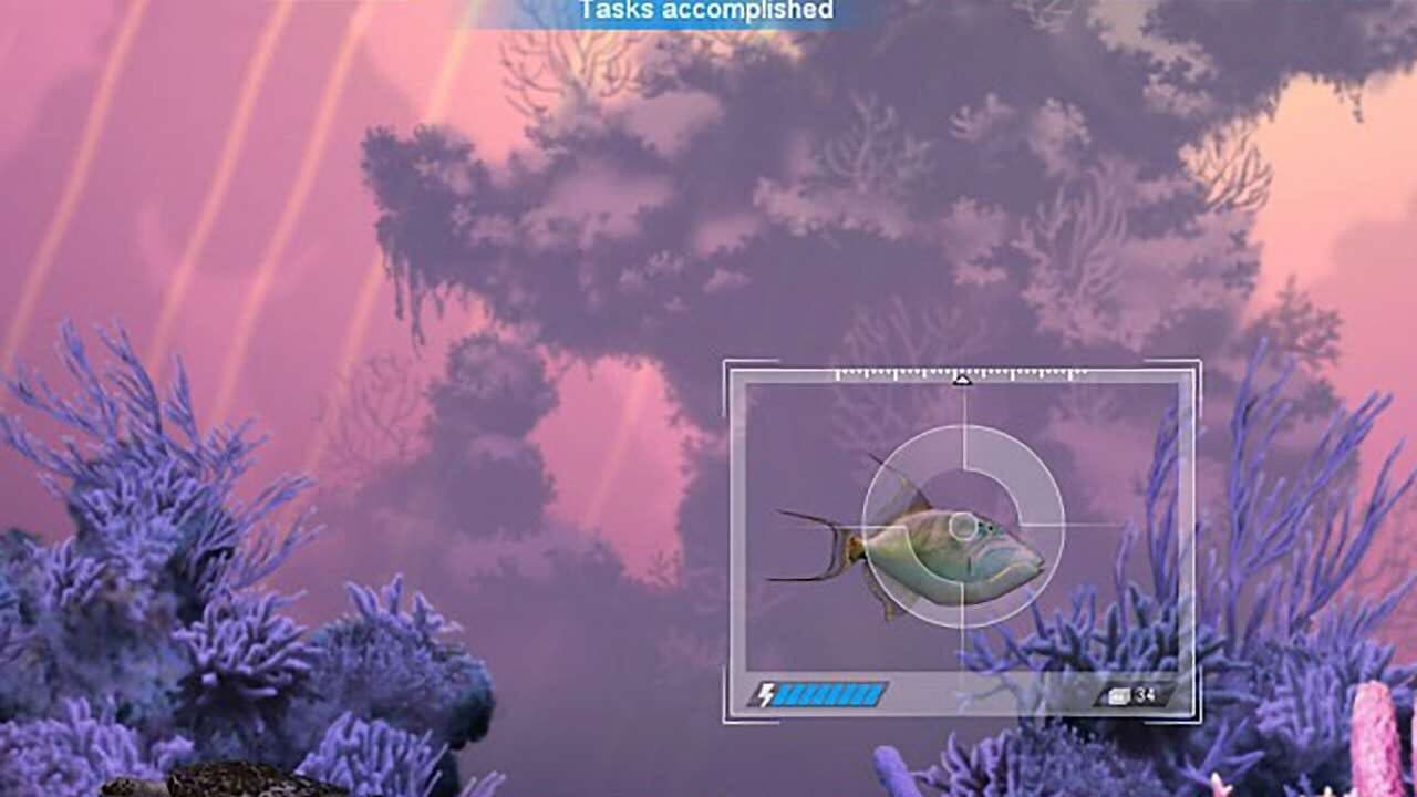 Caribbean Sea Fishes thumbnail 5