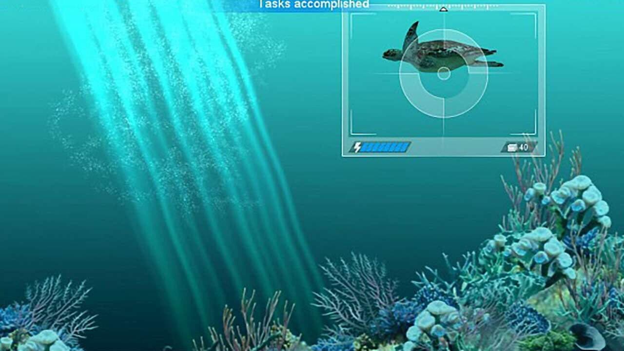 Caribbean Sea Fishes thumbnail 7