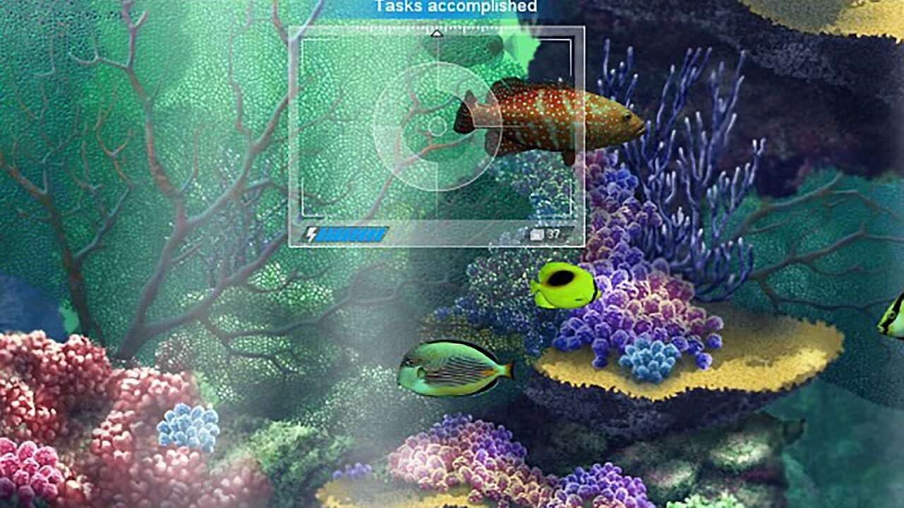 Caribbean Sea Fishes thumbnail 9