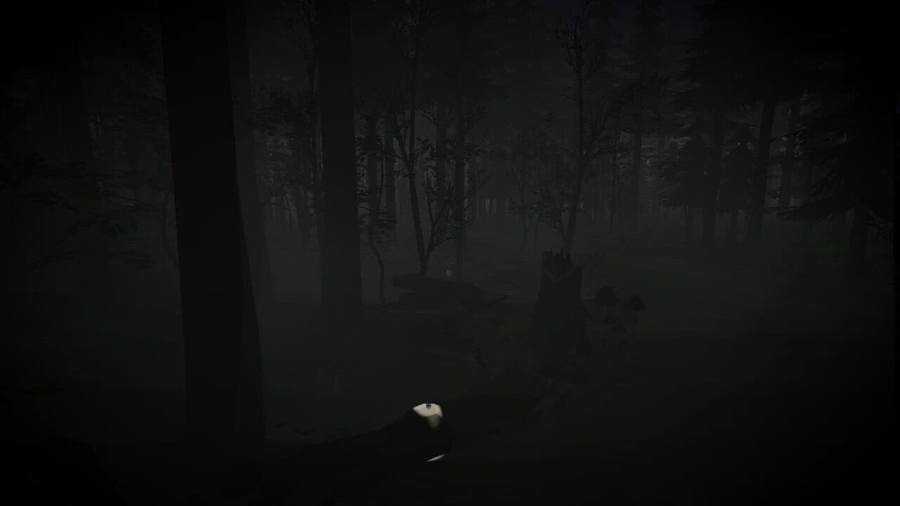 Memorabilia thumbnail 5