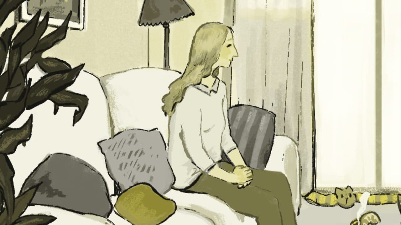 Beyond Your Window thumbnail 2