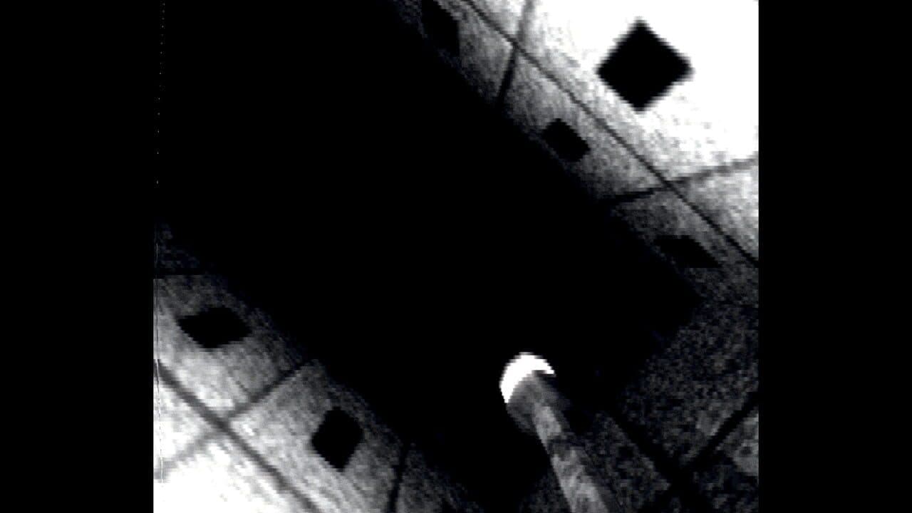 Visitor thumbnail 2