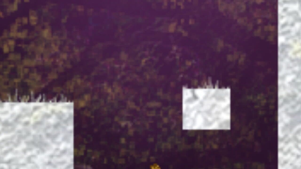 Flower Visit thumbnail 4
