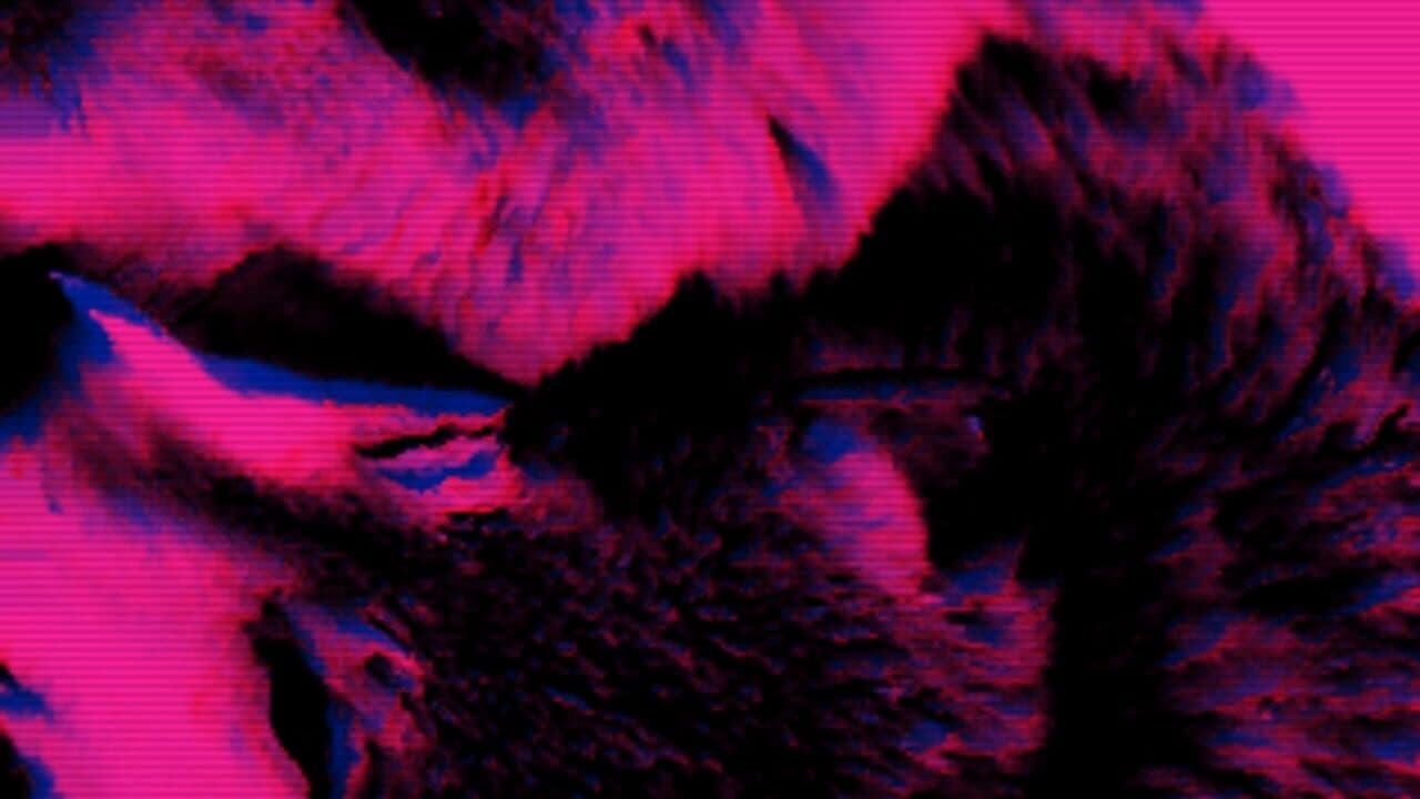 Wolfgirls in Love screenshot 1