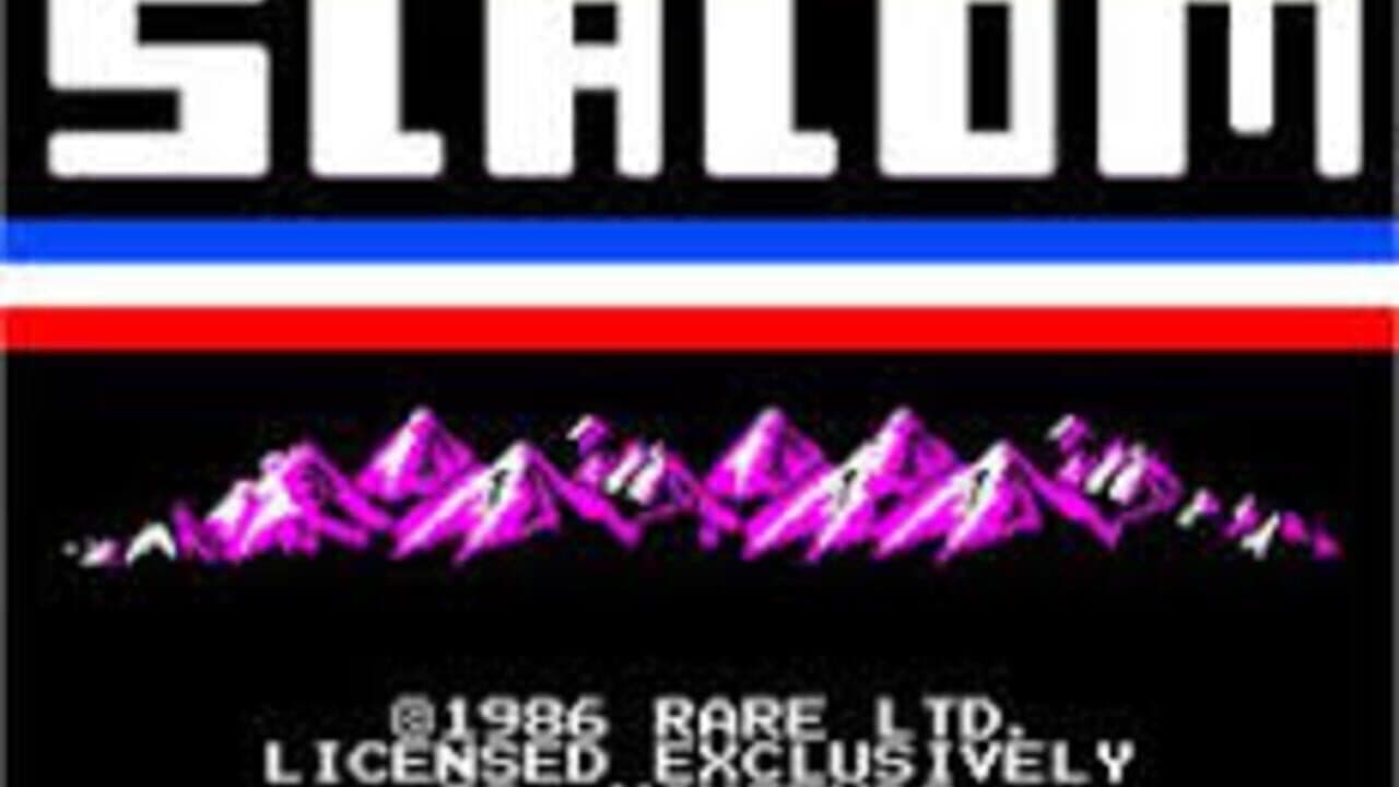 Vs. Slalom screenshot 1