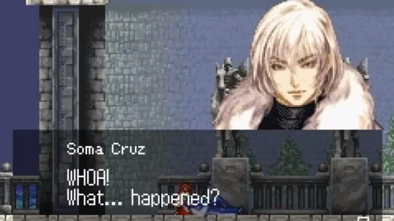 Castlevania Double Pack thumbnail 3
