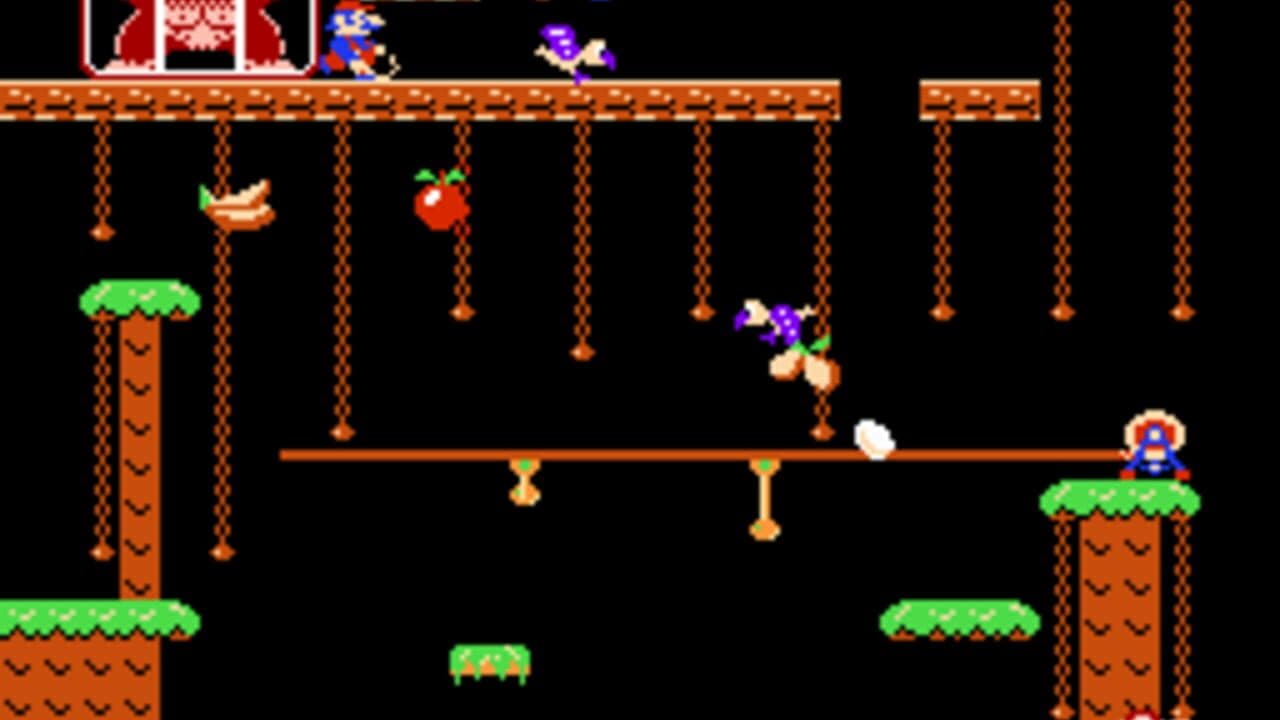 Donkey Kong Jr. thumbnail 3