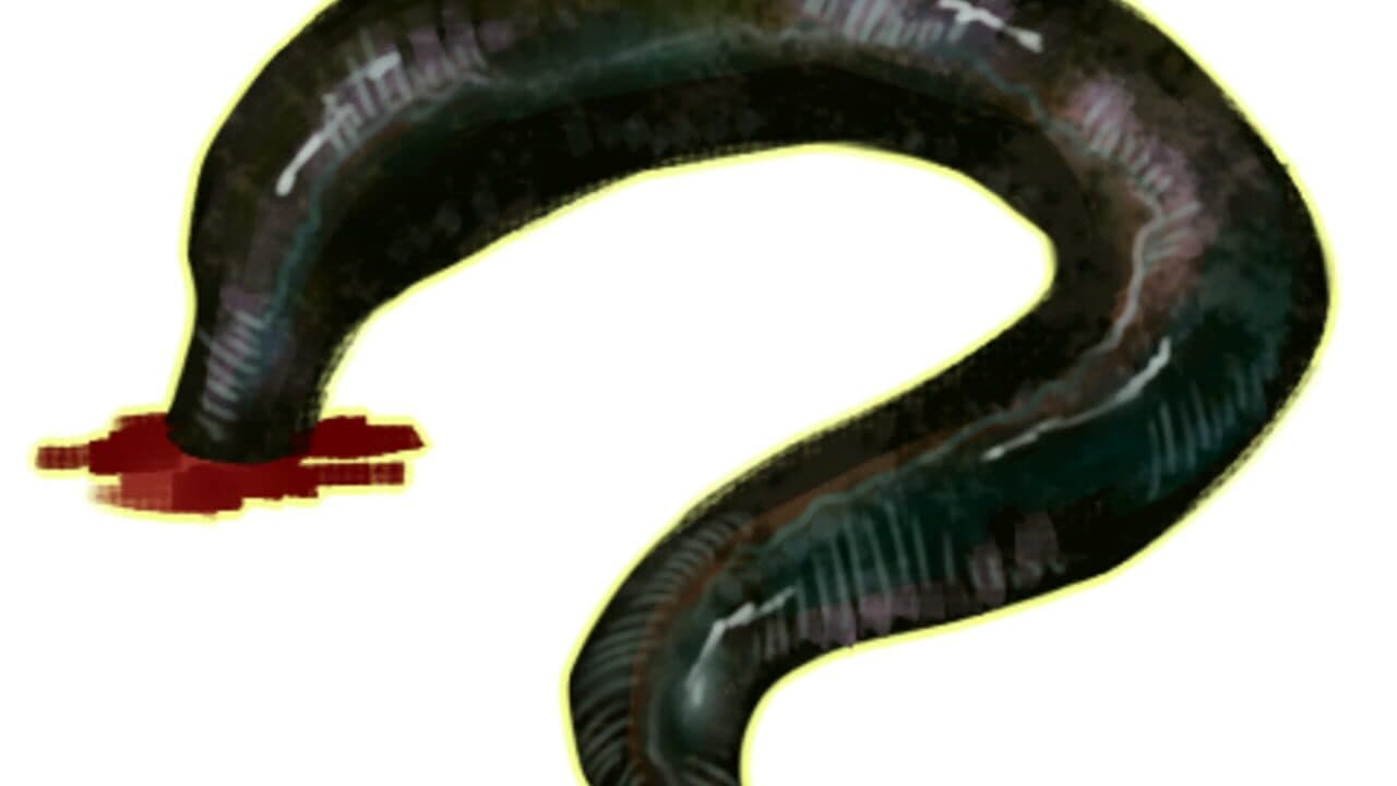 Devotionalia thumbnail 7