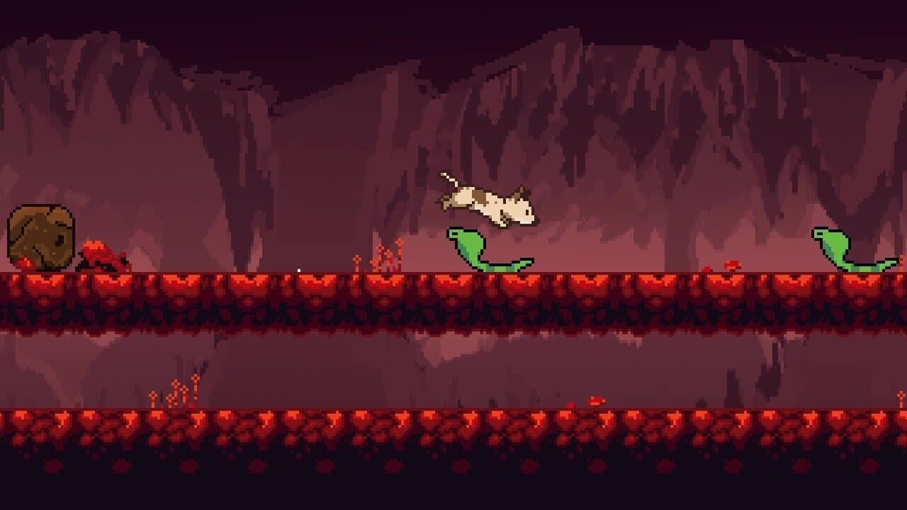 .Dog thumbnail 2