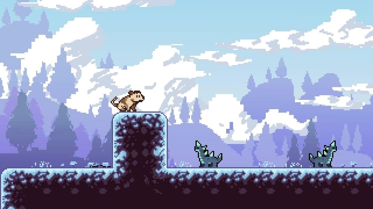 .Dog thumbnail 5