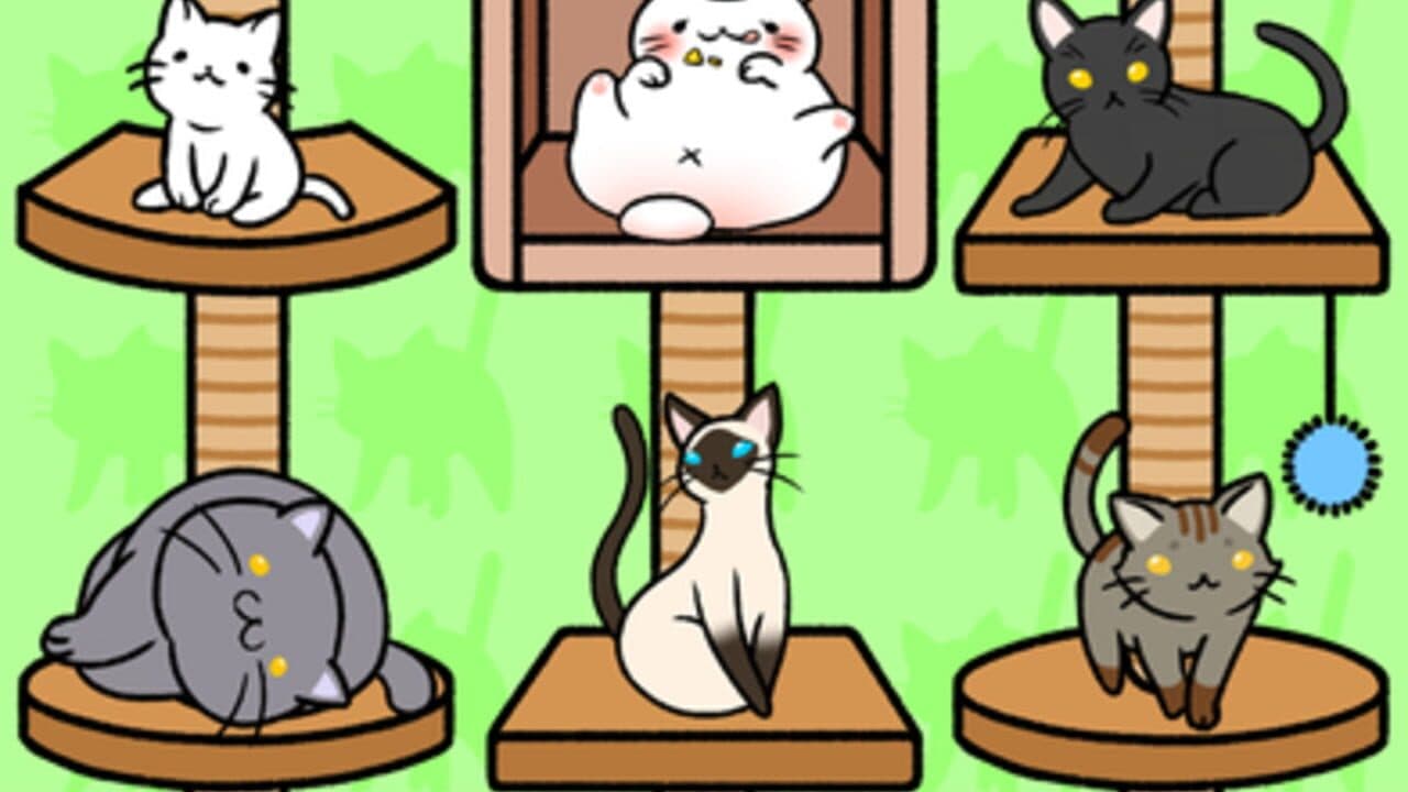 Cat Condo thumbnail 6