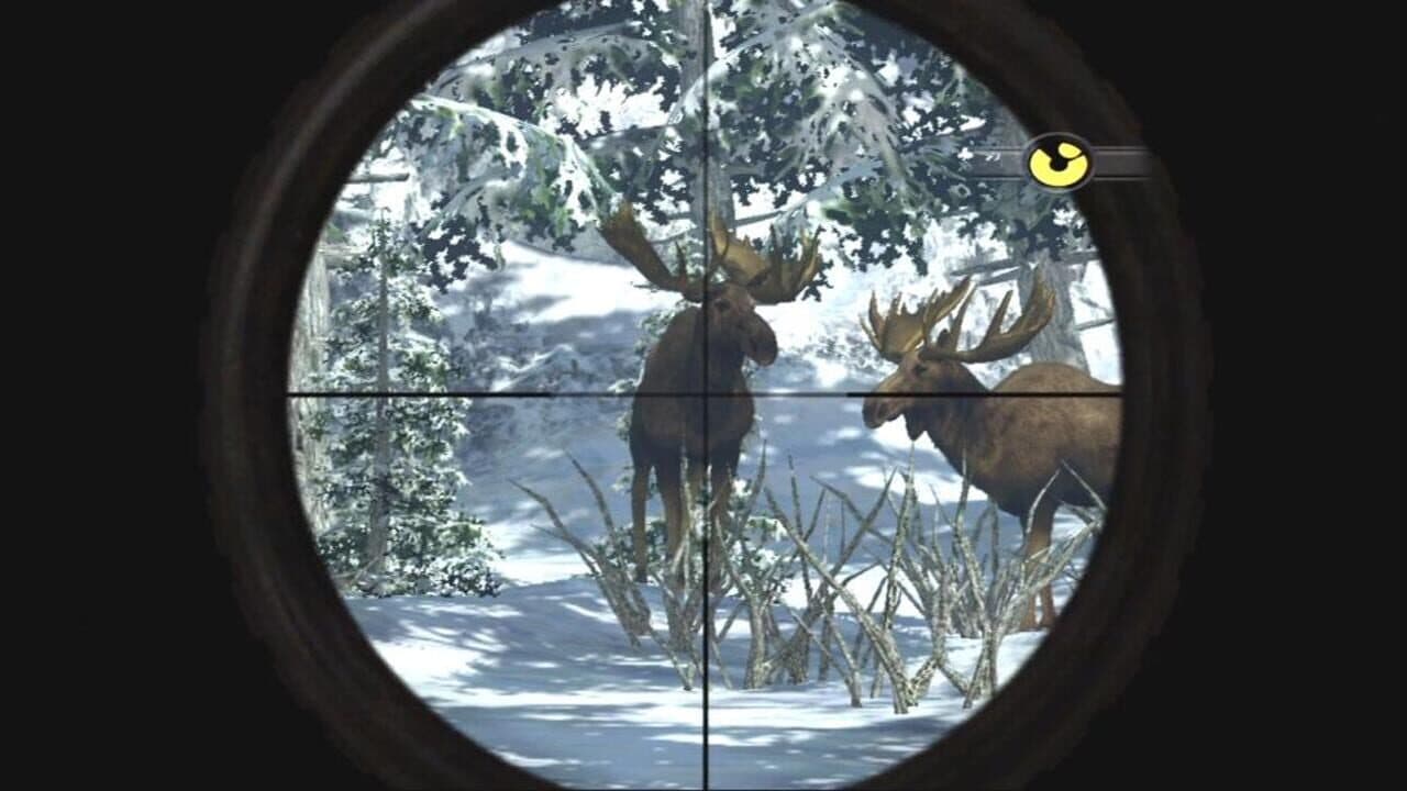 Cabela's Dangerous Hunts 2009 thumbnail 7