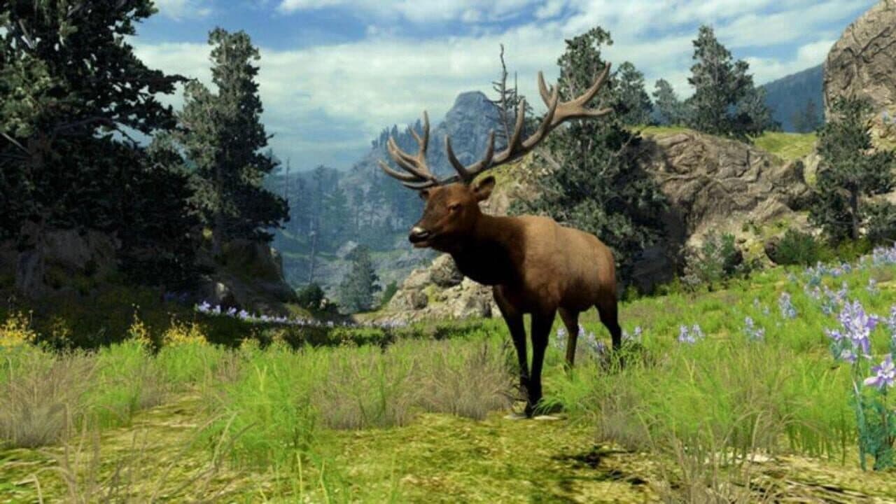 Cabela's Big Game Hunter 2010 thumbnail 4