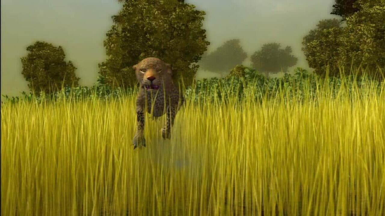 Cabela's African Safari thumbnail 5