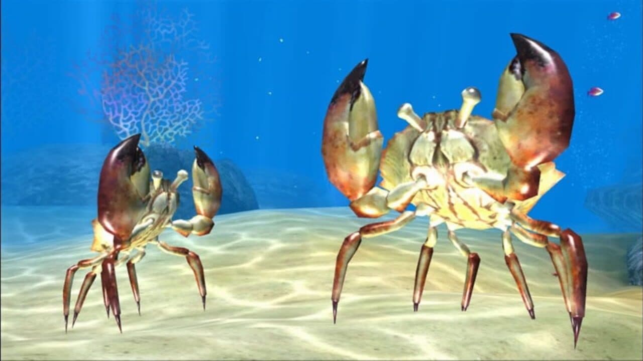 Sealife Safari thumbnail 12