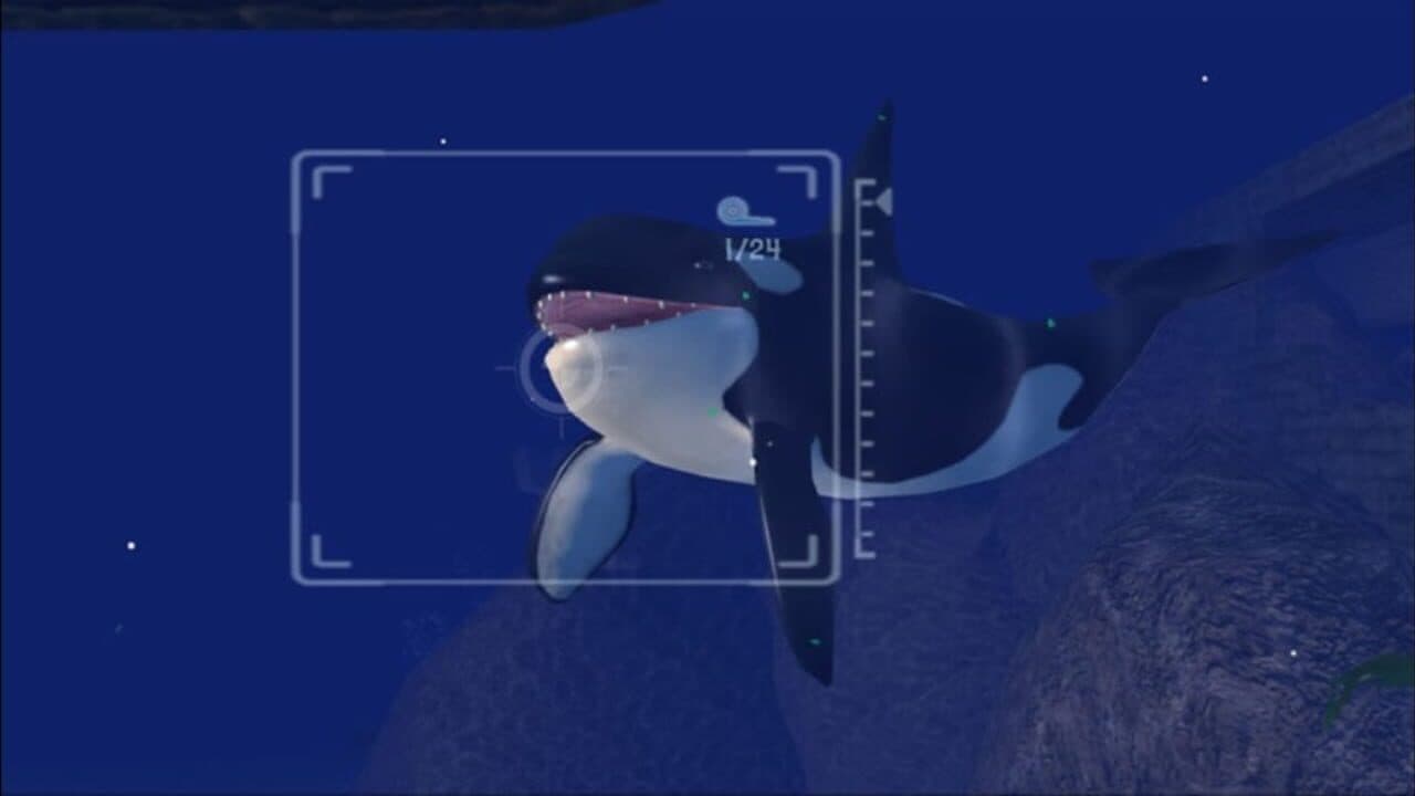 Sealife Safari thumbnail 2