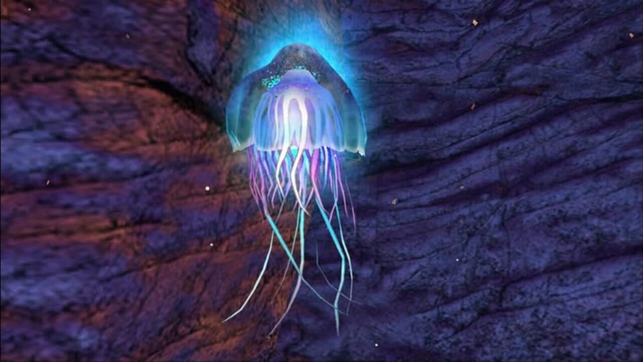 Sealife Safari thumbnail 8