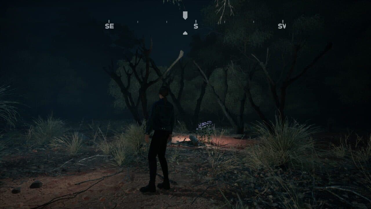 Silent Island thumbnail 4