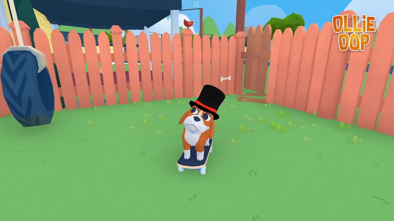 Ollie-Oop thumbnail 7
