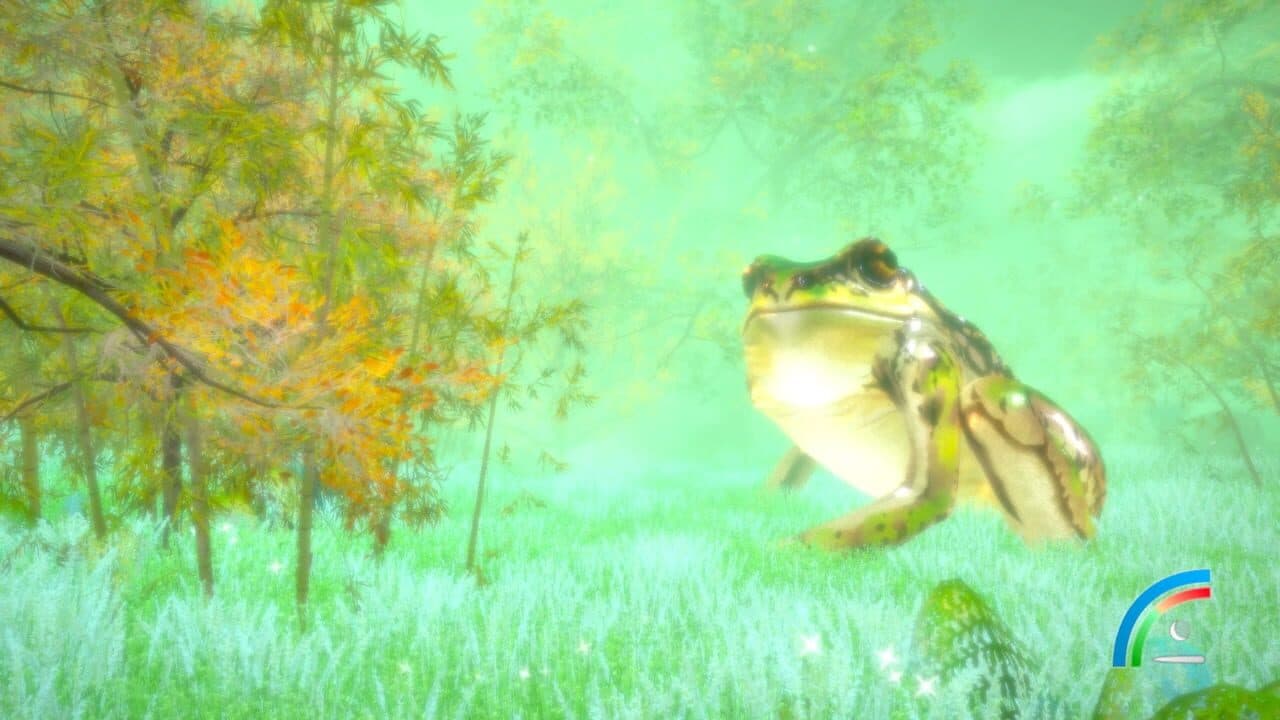 Hidden Treasures in the Forest of Dreams thumbnail 2
