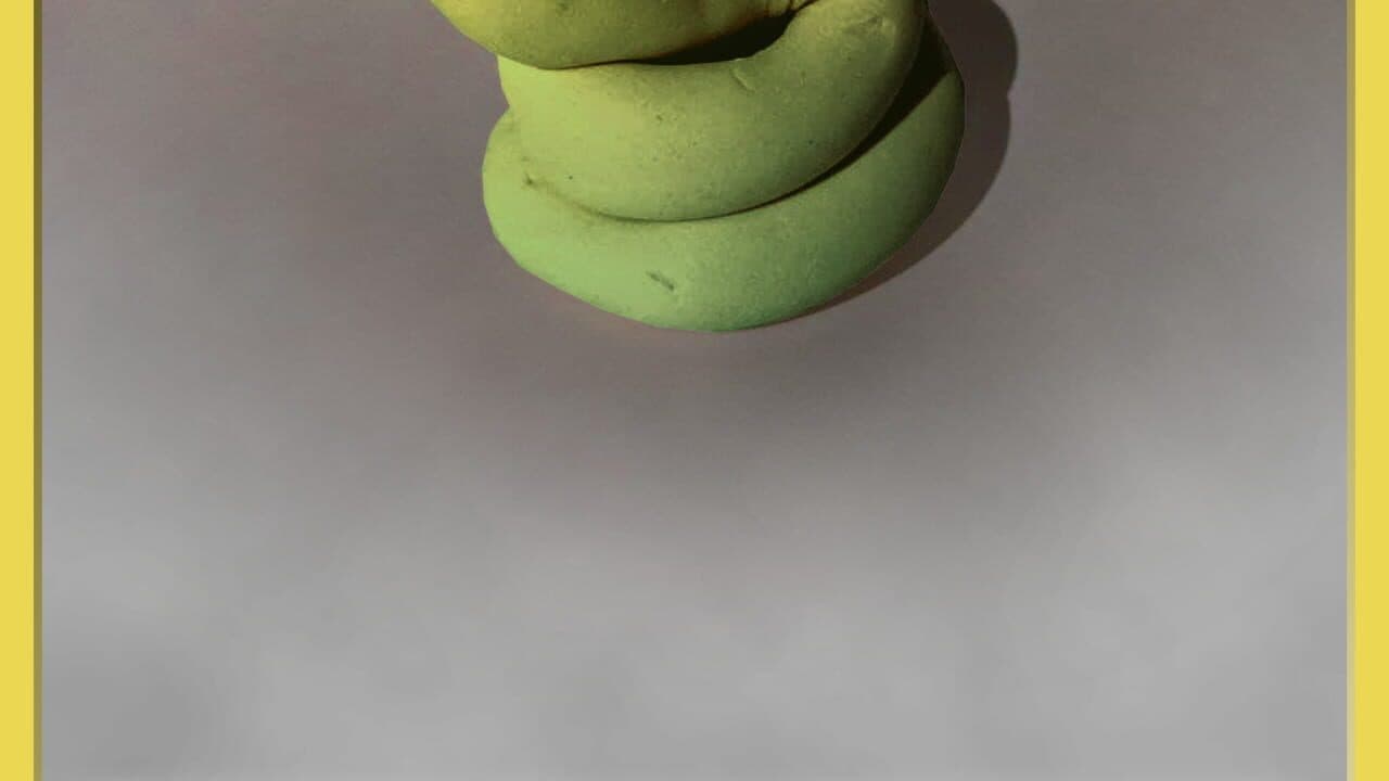 Hypotheticards: a nature collection mystery!! screenshot 1