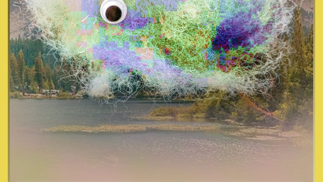 Hypotheticards: a nature collection mystery!! thumbnail 7