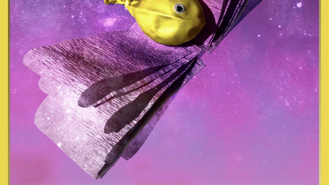 Hypotheticards: a nature collection mystery!! thumbnail 8