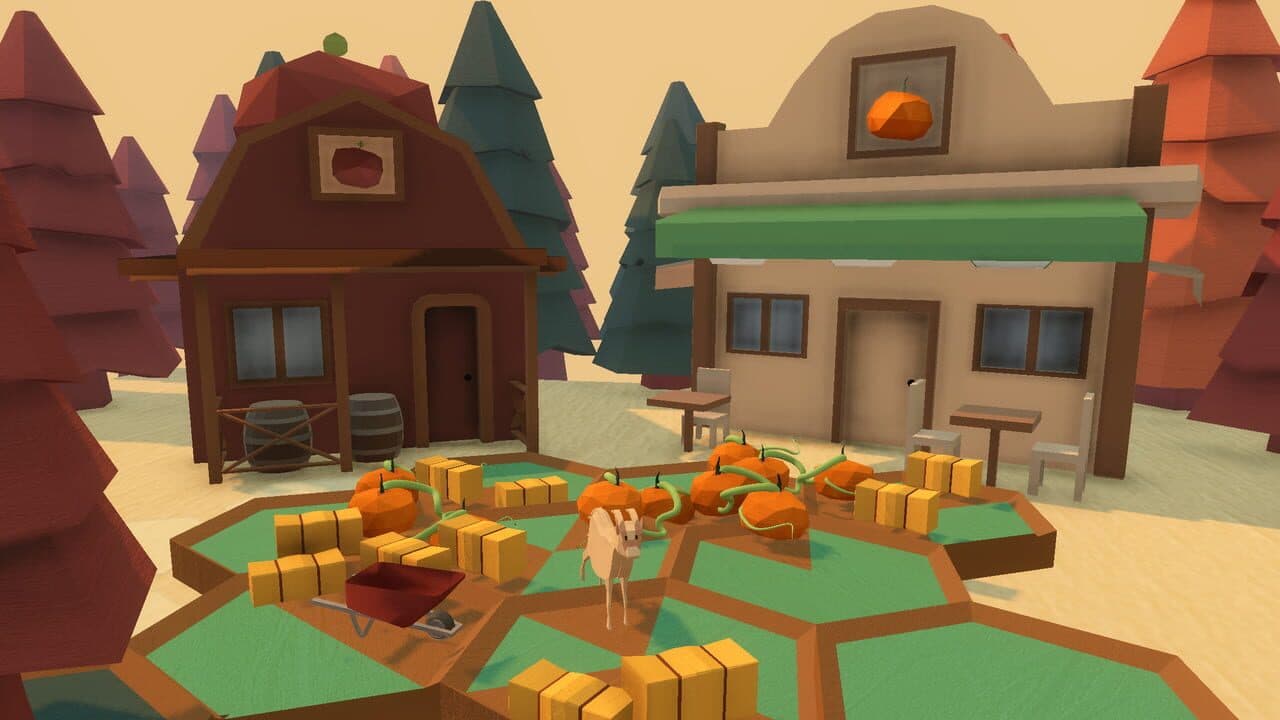 Hexagourds thumbnail 6