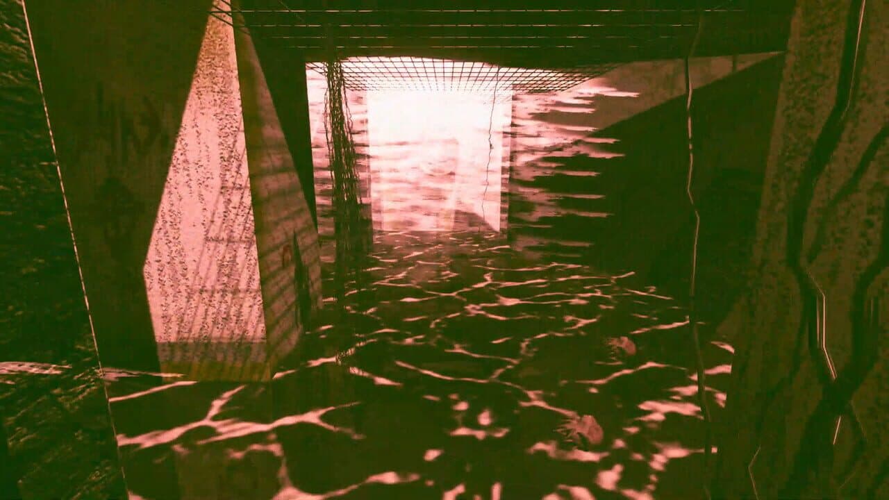 Desolation Seed thumbnail 3