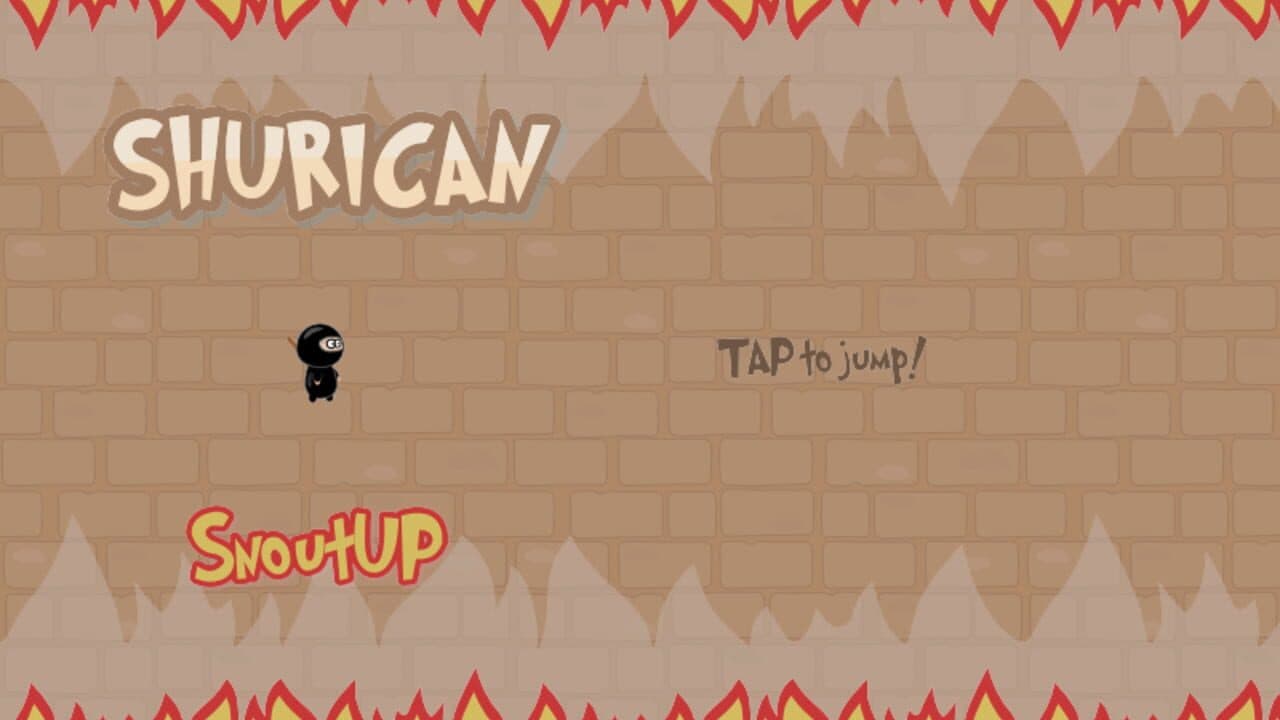 Ninja Shurican thumbnail 2