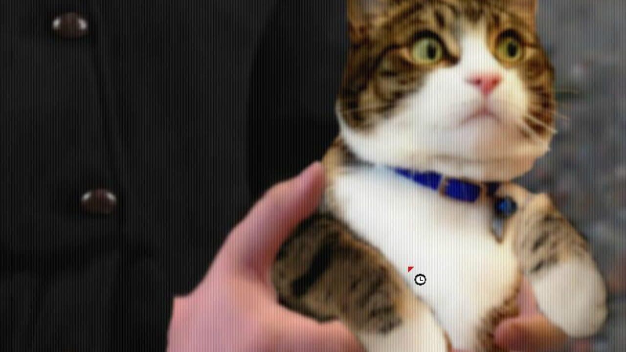 Mudlarks thumbnail 5