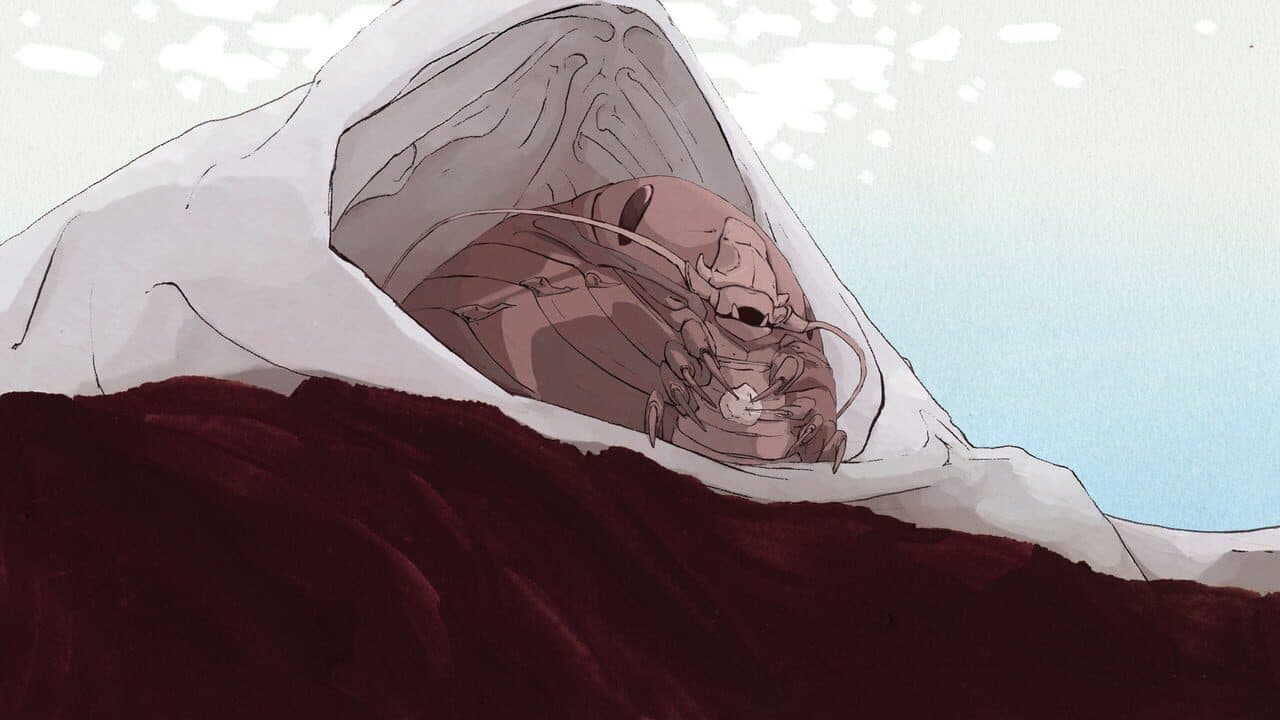 South Scrimshaw thumbnail 2