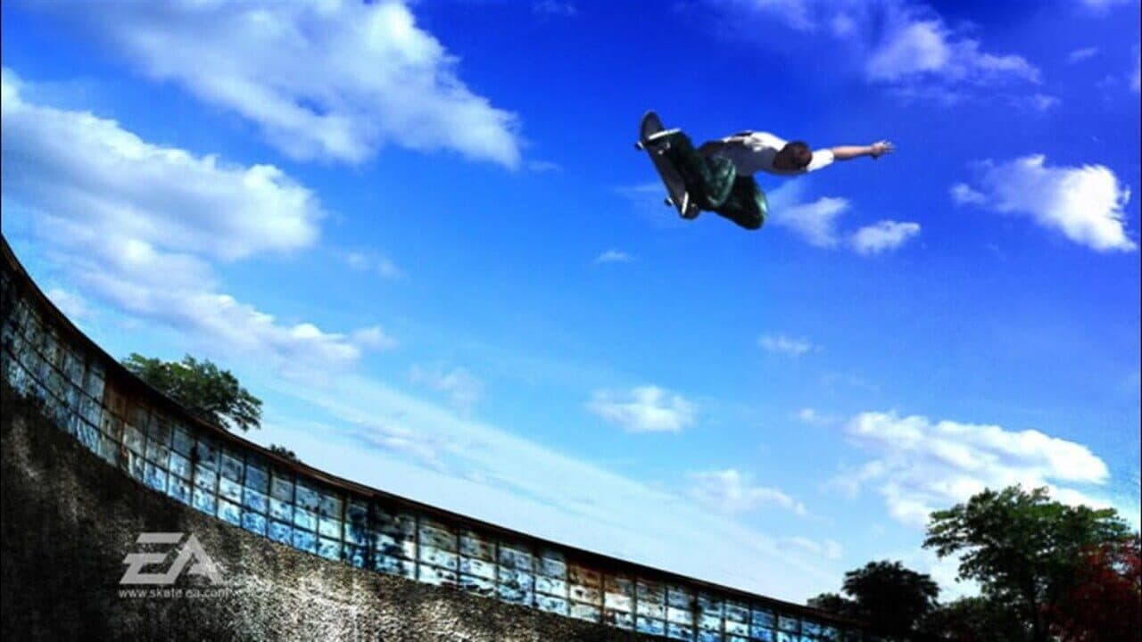 Skate thumbnail 4
