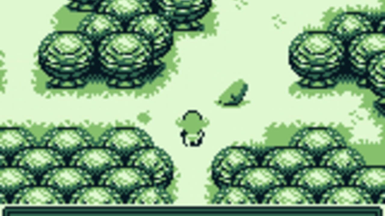 Forest thumbnail 4