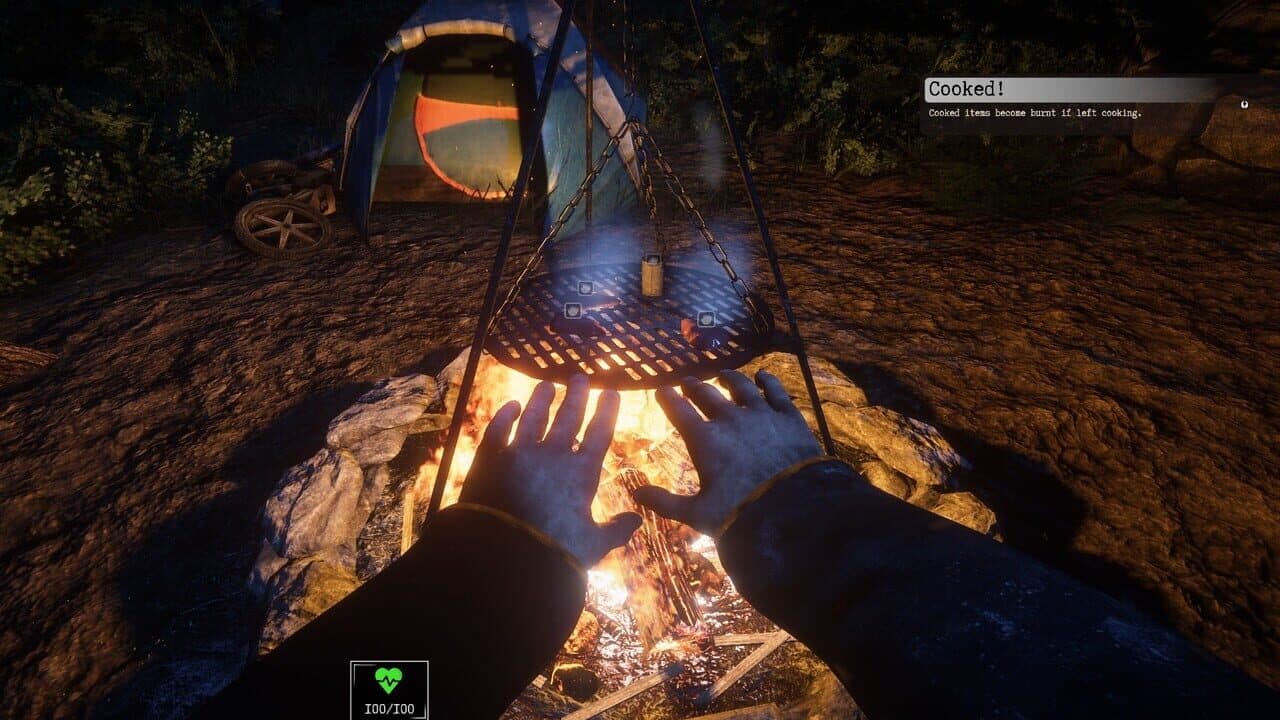 Survive the Nights thumbnail 15