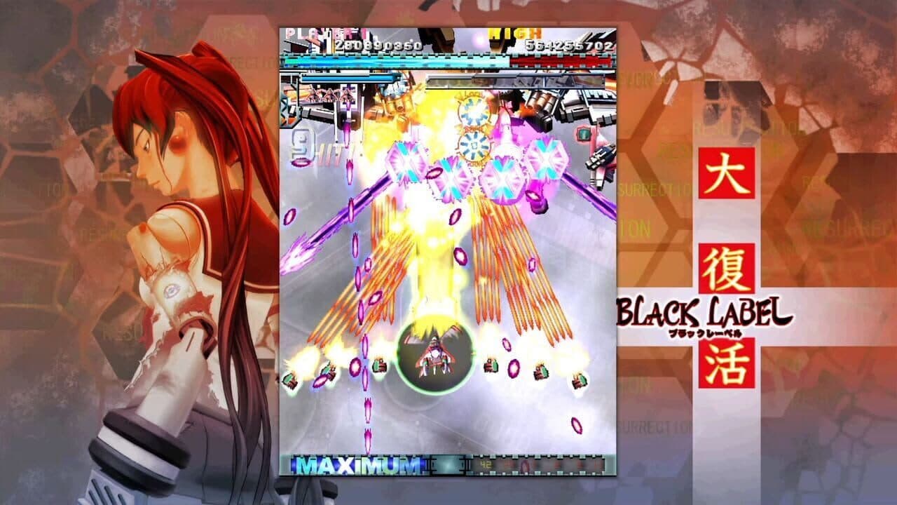 DoDonPachi Resurrection thumbnail 3