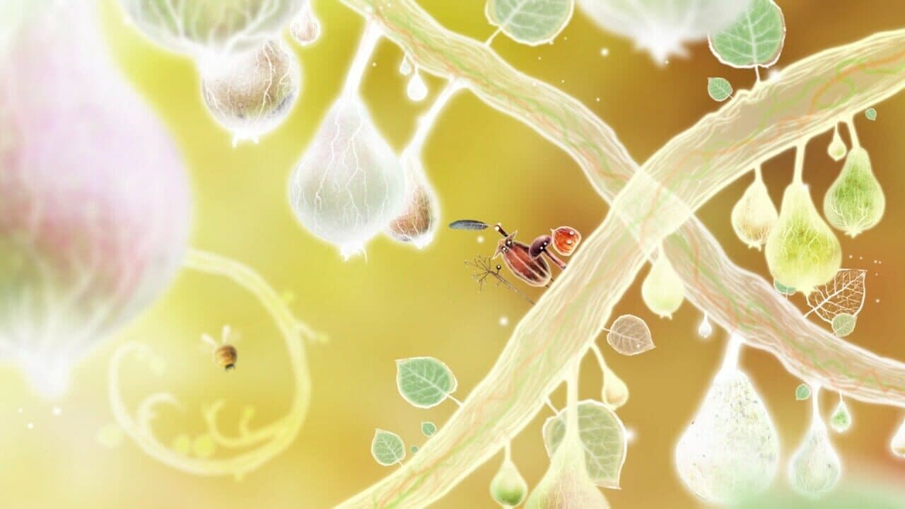 Botanicula: Collector's Edition thumbnail 5