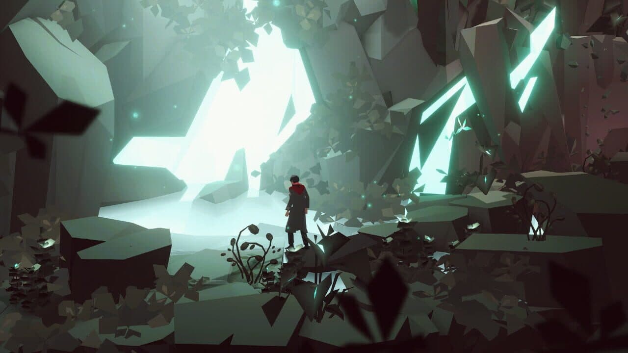 Opus: Collector's Edition thumbnail 6