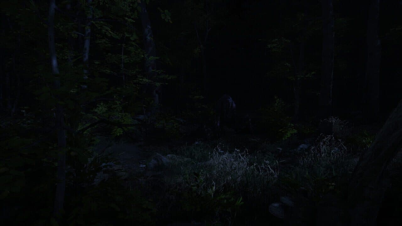 Surrounded thumbnail 6