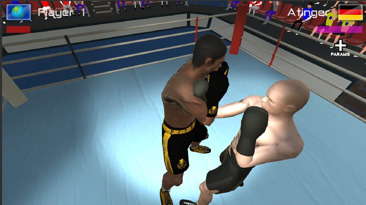 International Boxing thumbnail 3