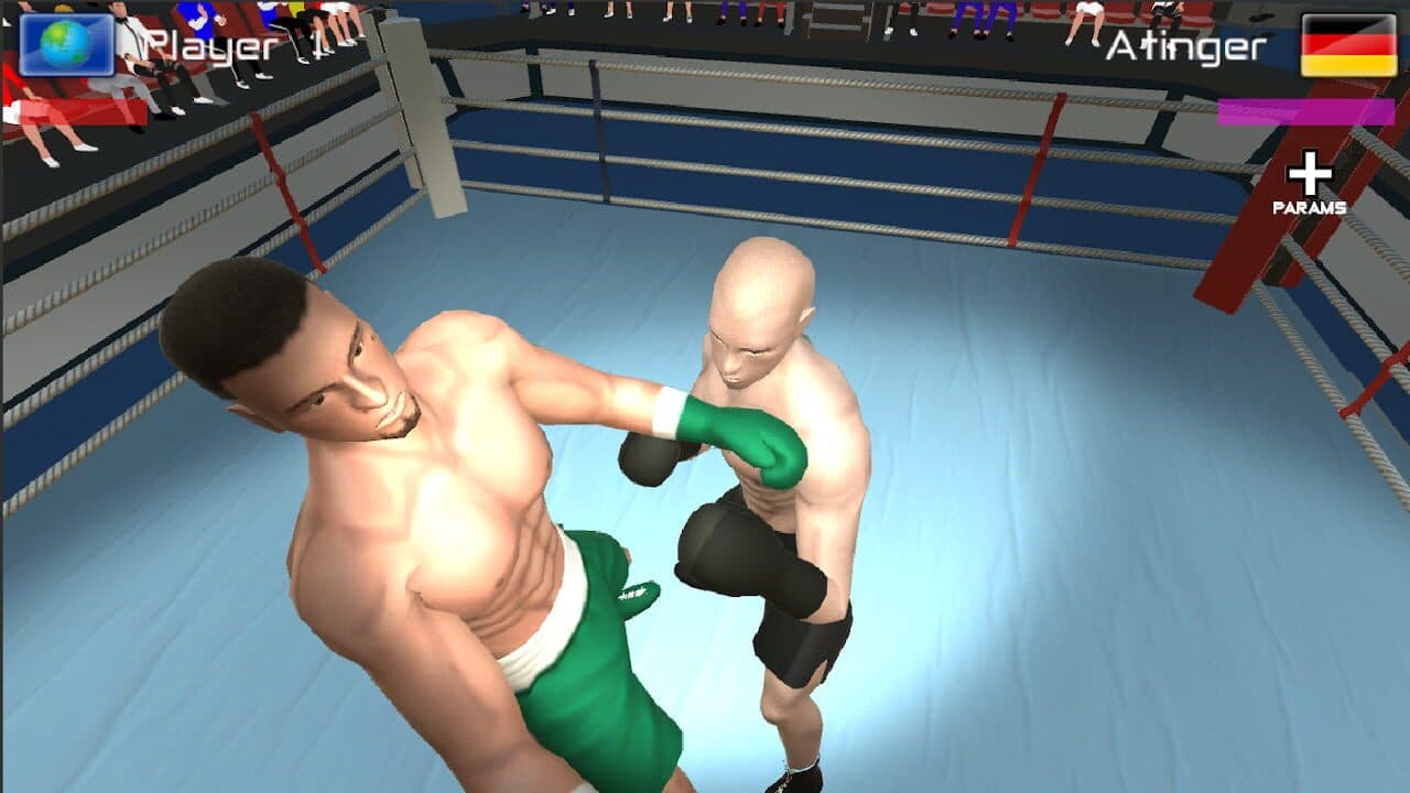 International Boxing thumbnail 4