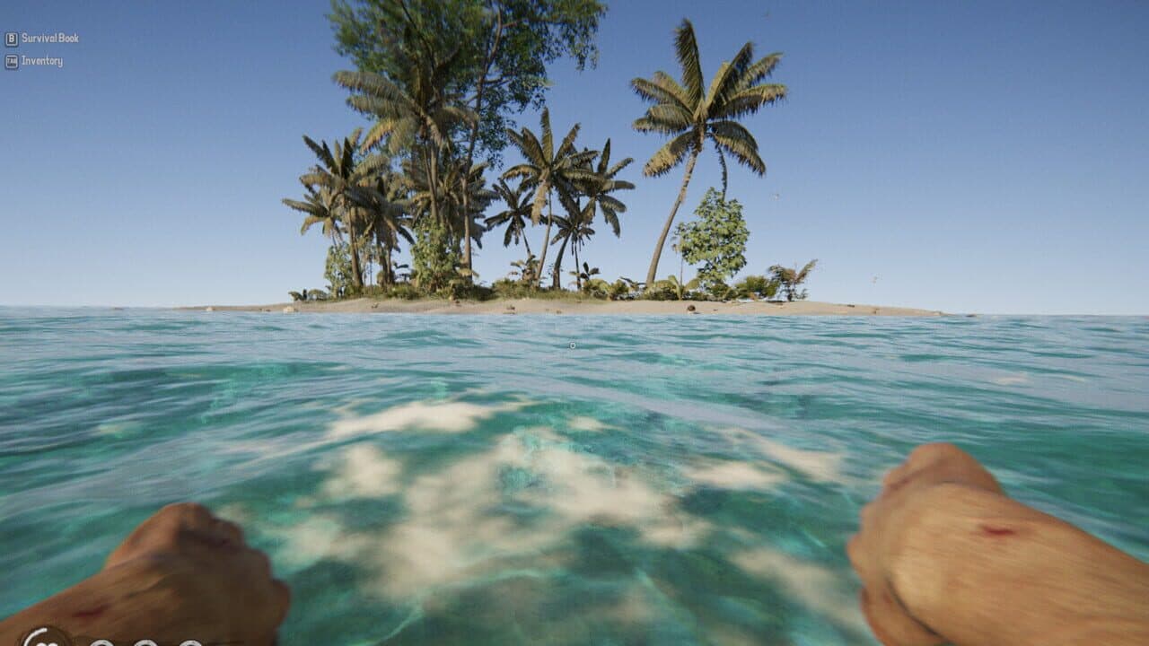 Project Castaway thumbnail 4