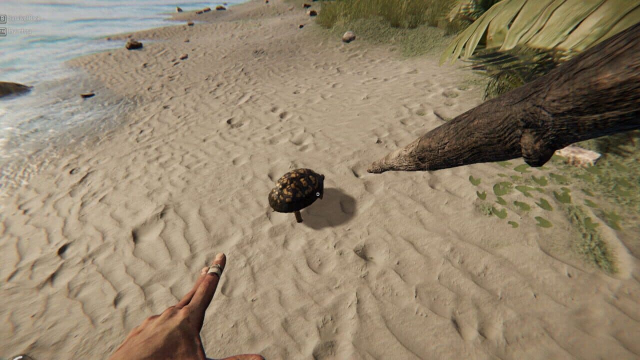 Project Castaway thumbnail 5
