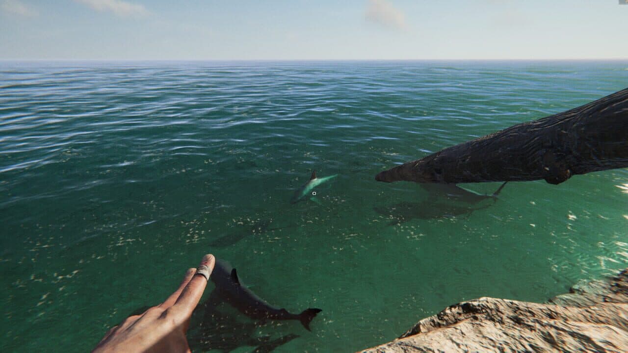 Project Castaway thumbnail 12