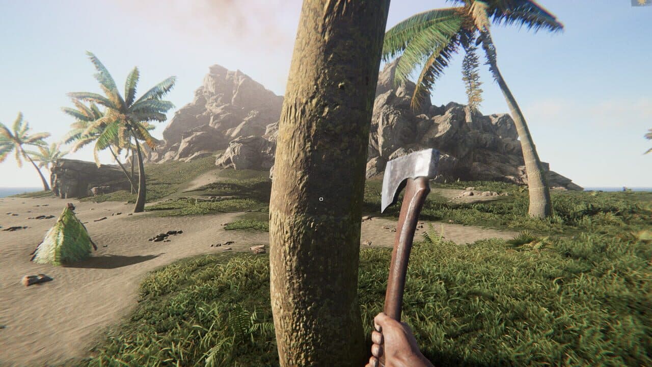 Project Castaway thumbnail 11