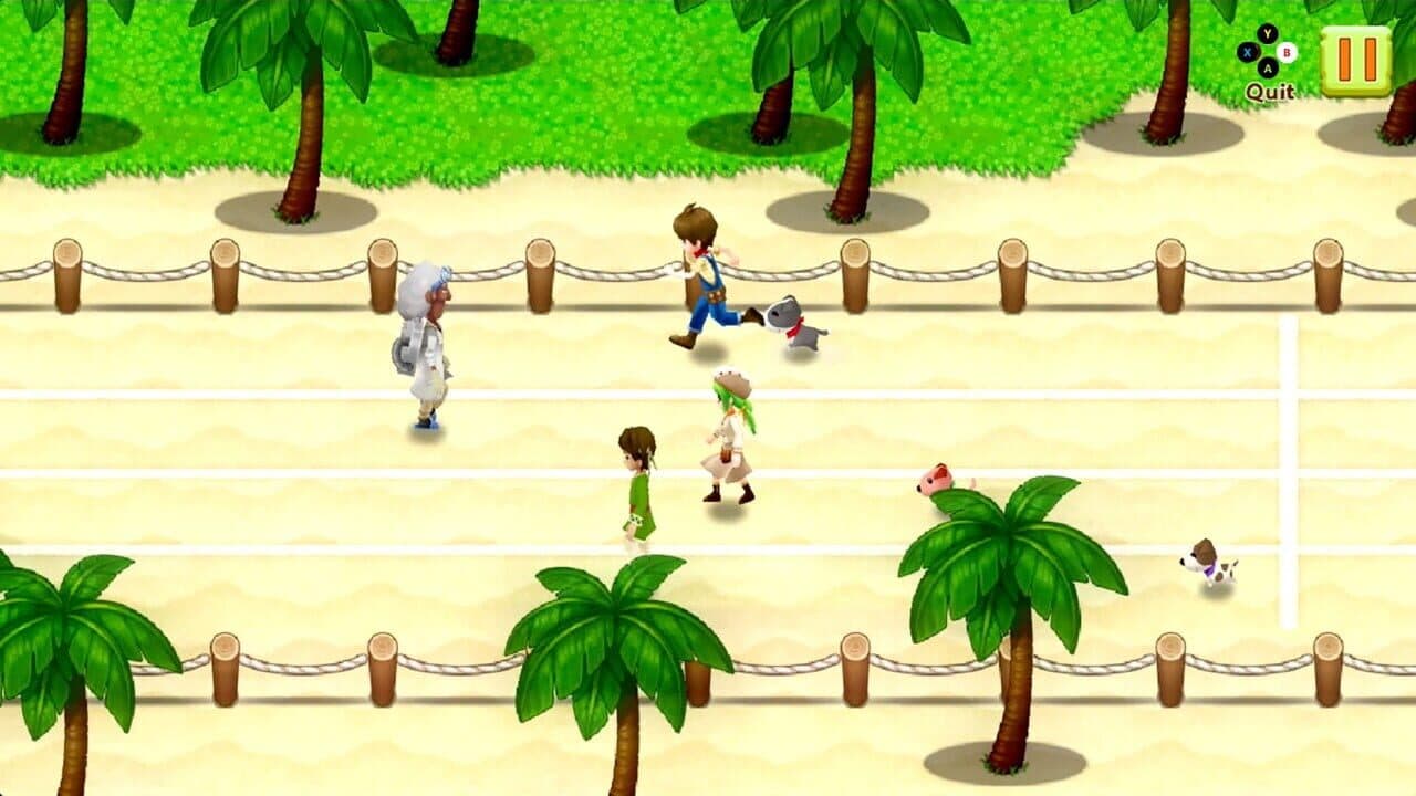 Harvest Moon: Light of Hope - Complete Special Edition thumbnail 6