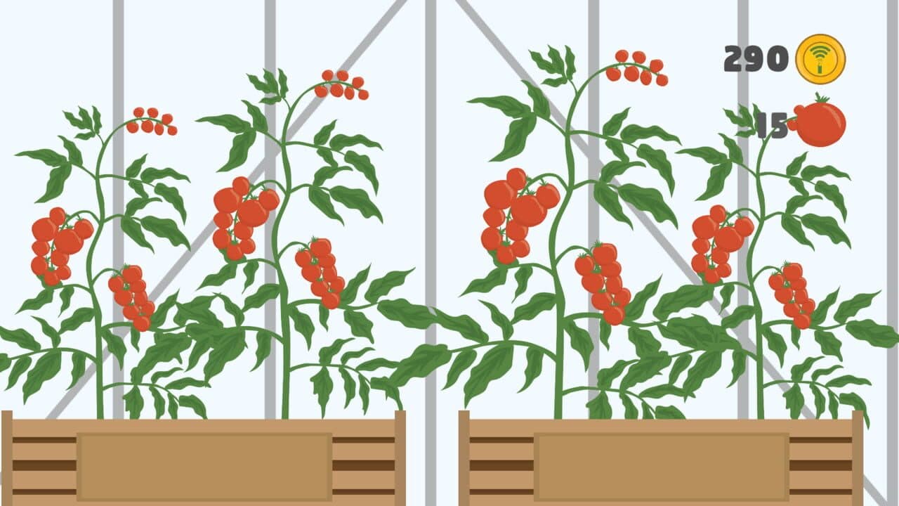 The Ketchup Story thumbnail 5
